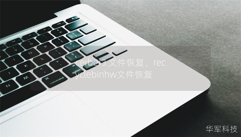 cerber3 文件恢复，recyclebinhw文件恢复