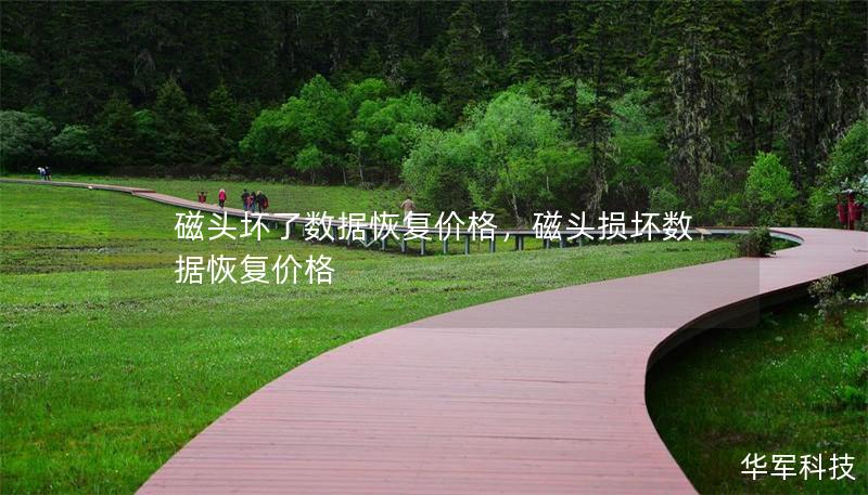 磁头坏了数据恢复价格，磁头损坏数据恢复价格