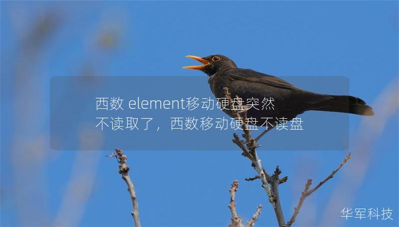 西数 element移动硬盘突然不读取了，西数移动硬盘不读盘