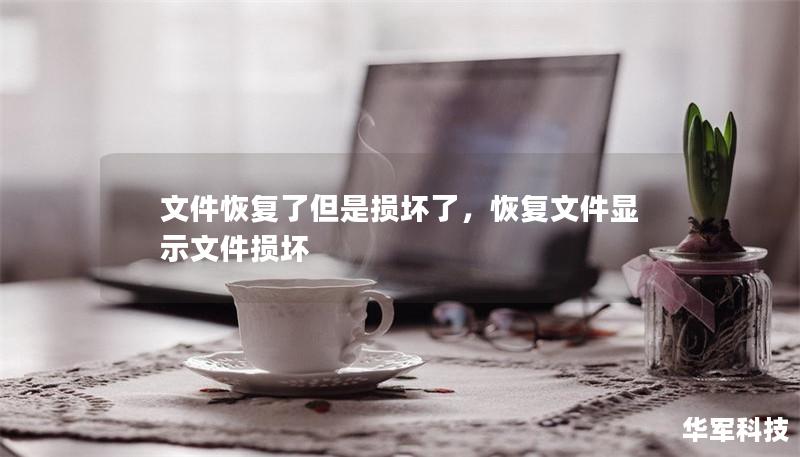 文件恢复了但是损坏了，恢复文件显示文件损坏