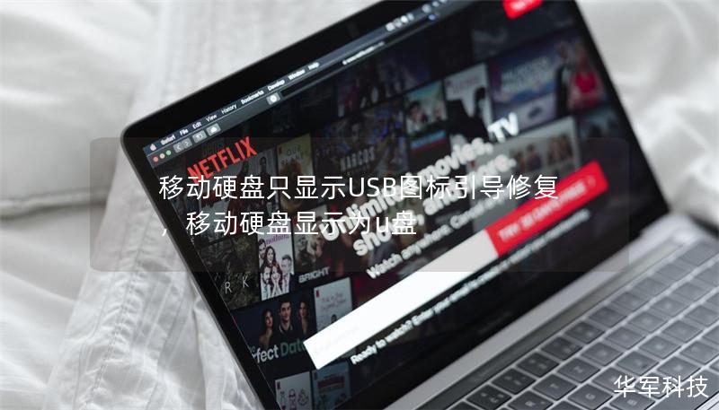移动硬盘只显示USB图标引导修复，移动硬盘显示为u盘