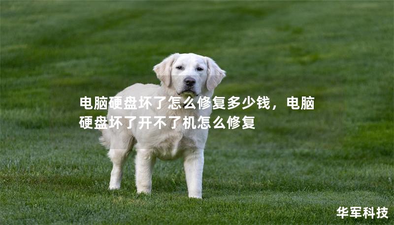 电脑硬盘坏了怎么修复多少钱，电脑硬盘坏了开不了机怎么修复