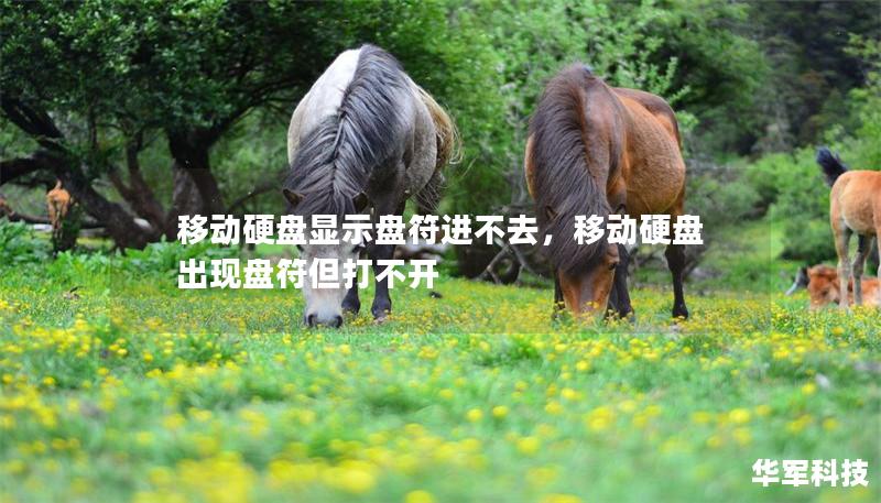 移动硬盘显示盘符进不去，移动硬盘出现盘符但打不开