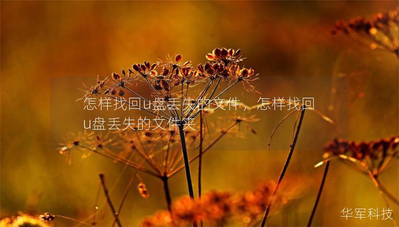 怎样找回u盘丢失的文件，怎样找回u盘丢失的文件夹