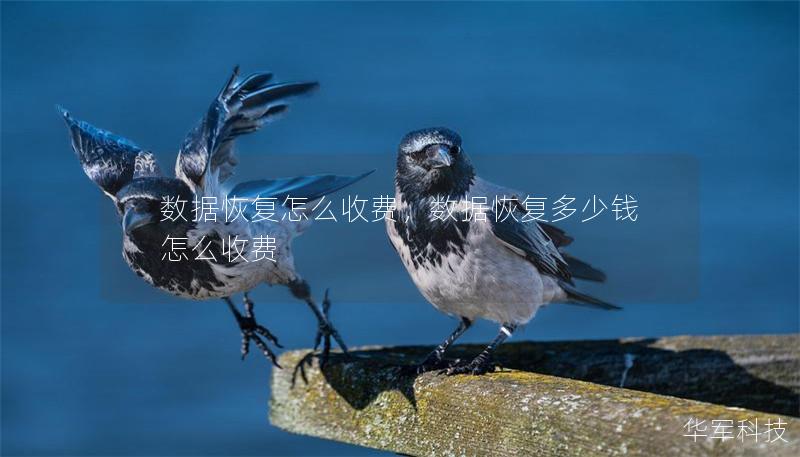 数据恢复怎么收费，数据恢复多少钱怎么收费