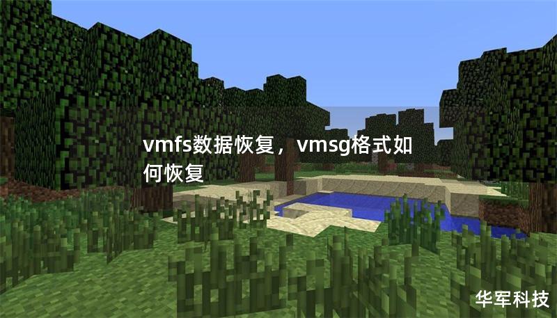 vmfs数据恢复，vmsg格式如何恢复