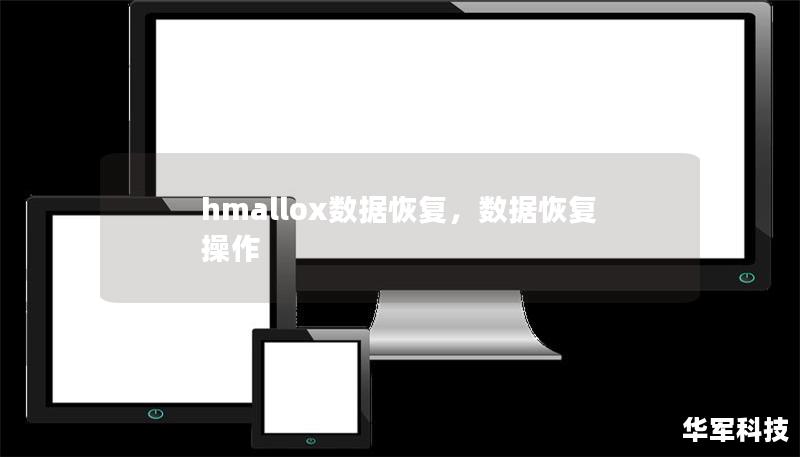 hmallox数据恢复，数据恢复操作