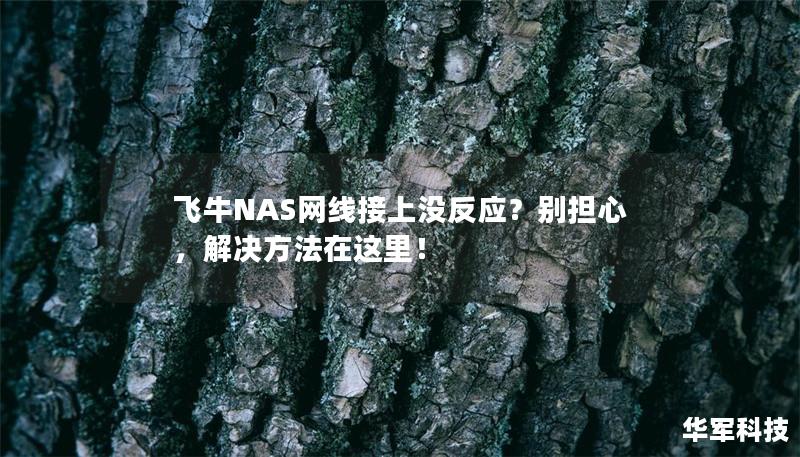 飞牛NAS网线接上没反应？别担心，解决方法在这里！