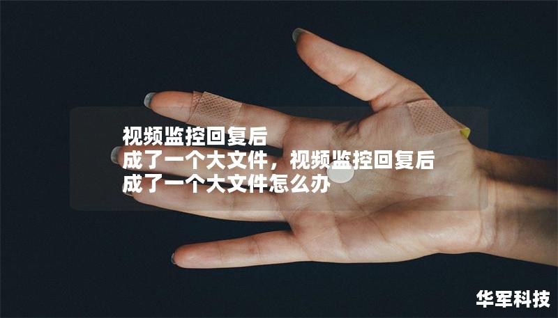 视频监控回复后 成了一个大文件，视频监控回复后 成了一个大文件怎么办