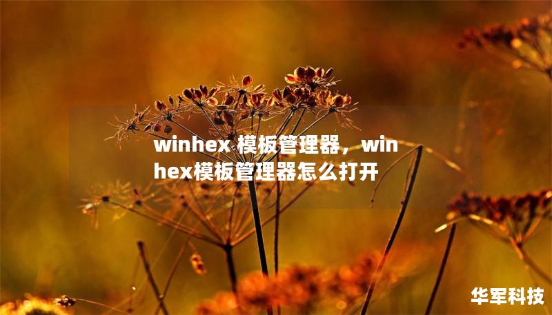 winhex 模板管理器，winhex模板管理器怎么打开