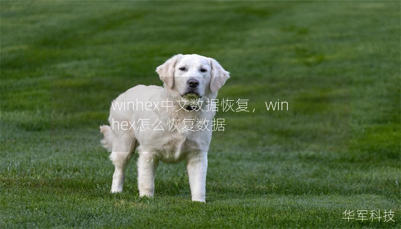 winhex中文数据恢复，winhex怎么恢复数据