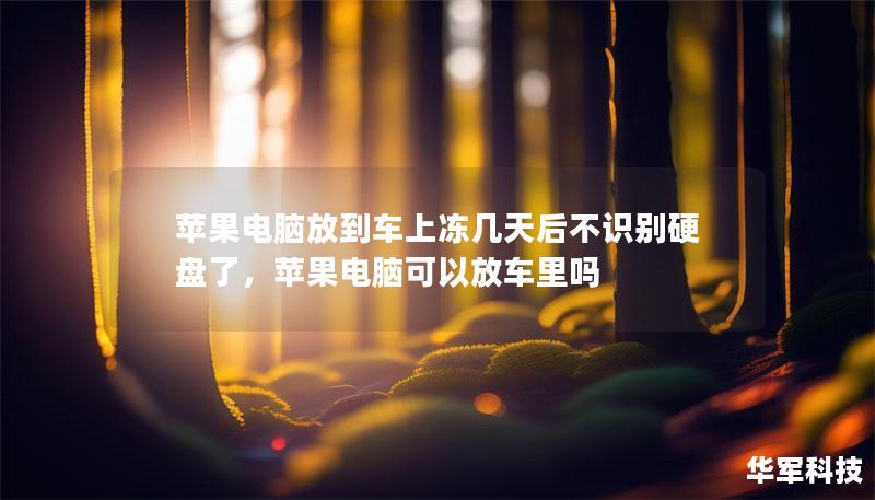 苹果电脑放到车上冻几天后不识别硬盘了，苹果电脑可以放车里吗