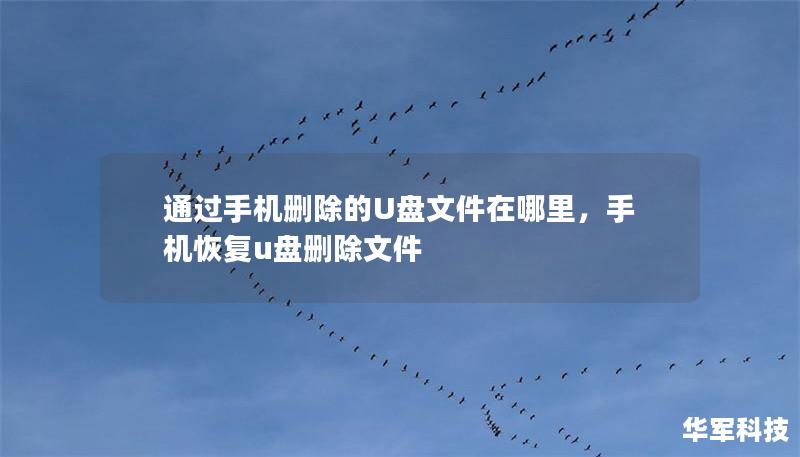 通过手机删除的U盘文件在哪里，手机恢复u盘删除文件