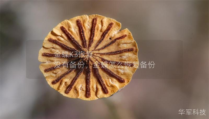 金蝶K3恢复 没有备份，金蝶怎么恢复备份