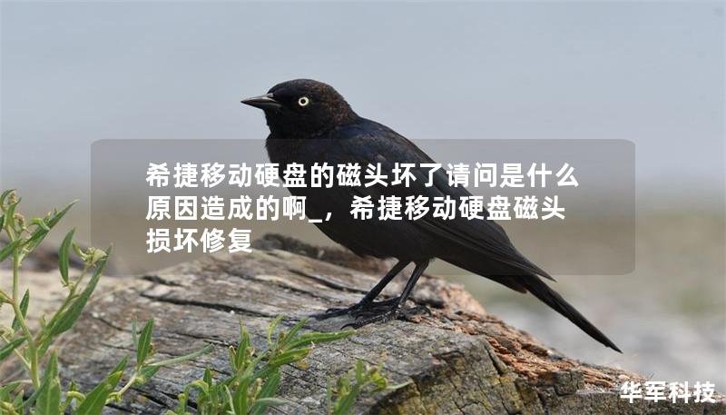 希捷移动硬盘的磁头坏了请问是什么原因造成的啊_，希捷移动硬盘磁头损坏修复