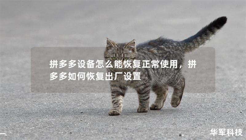 拼多多设备怎么能恢复正常使用，拼多多如何恢复出厂设置
