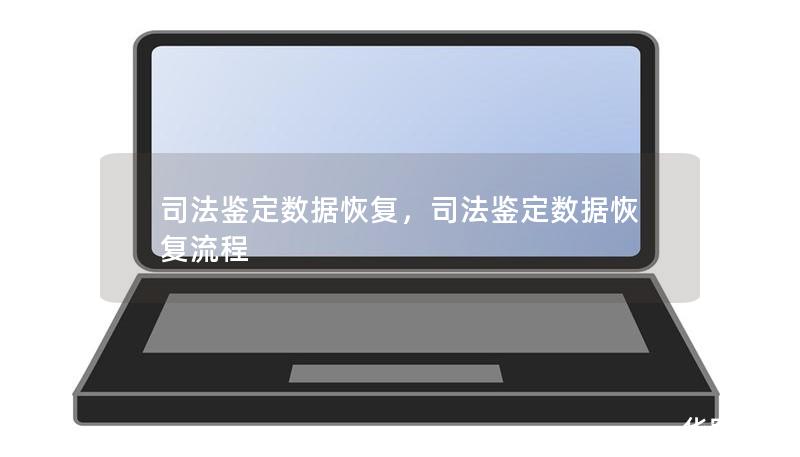 司法鉴定数据恢复，司法鉴定数据恢复流程