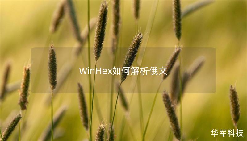 WinHex如何解析俄文