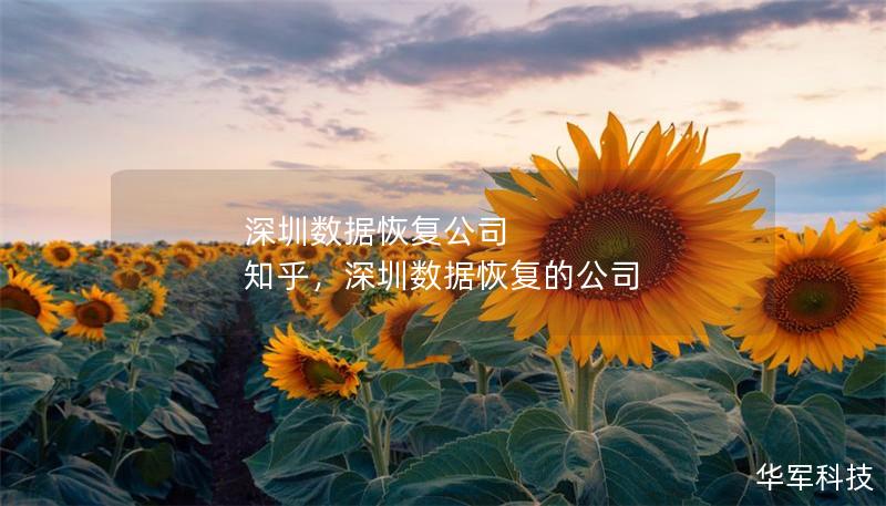 深圳数据恢复公司 知乎，深圳数据恢复的公司