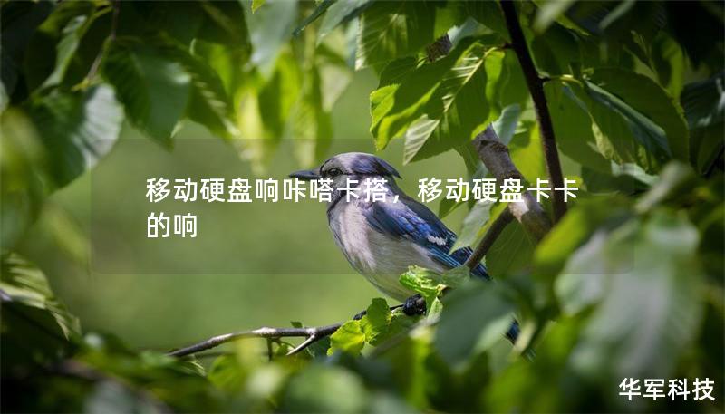 移动硬盘响咔嗒卡搭，移动硬盘卡卡的响