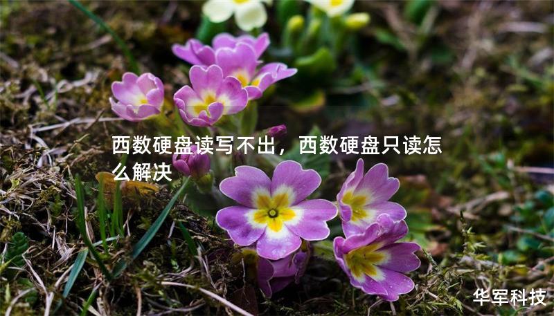 西数硬盘读写不出，西数硬盘只读怎么解决