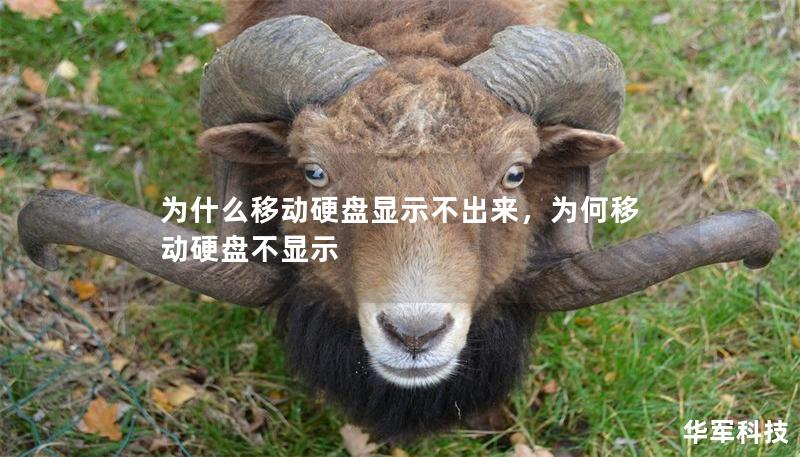 为什么移动硬盘显示不出来，为何移动硬盘不显示