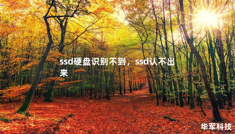 ssd硬盘识别不到，ssd认不出来