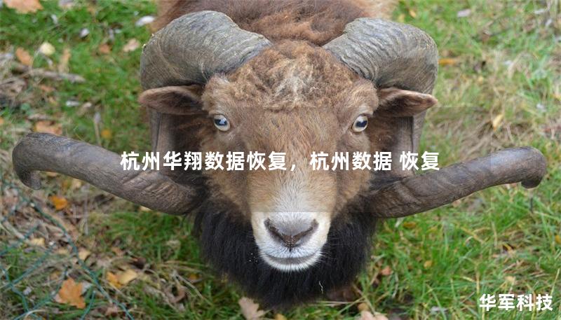 杭州华翔数据恢复，杭州数据 恢复