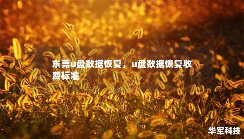 东莞u盘数据恢复，u盘数据恢复收费标准