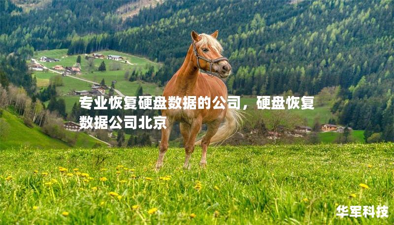 专业恢复硬盘数据的公司，硬盘恢复数据公司北京