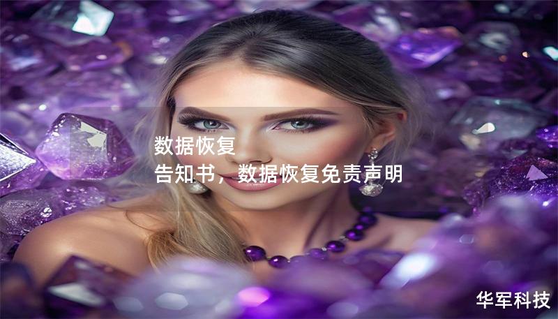 数据恢复 告知书，数据恢复免责声明