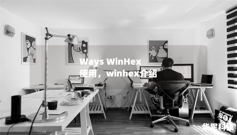 Ways WinHex 使用，winhex介绍