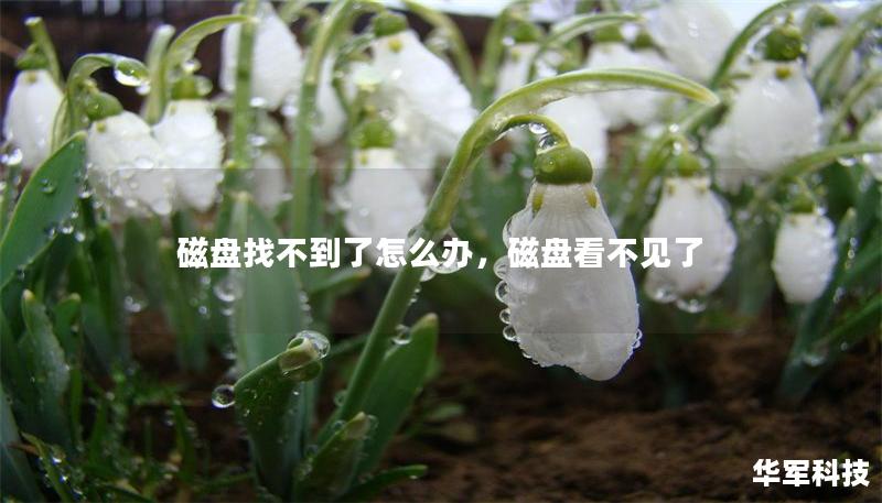 磁盘找不到了怎么办，磁盘看不见了