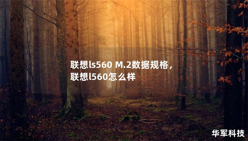 联想ls560 M.2数据规格，联想l560怎么样