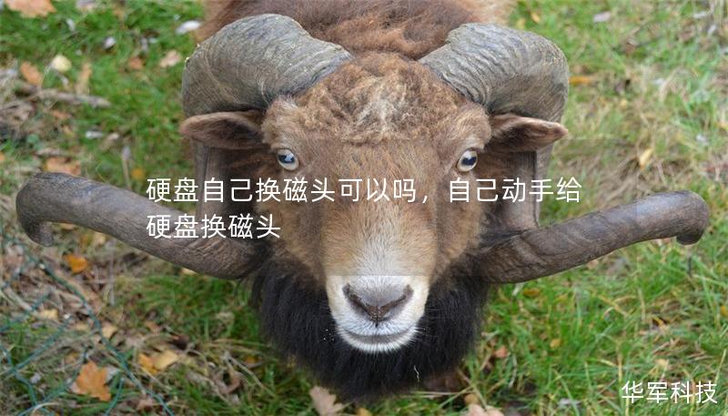 硬盘自己换磁头可以吗，自己动手给硬盘换磁头
