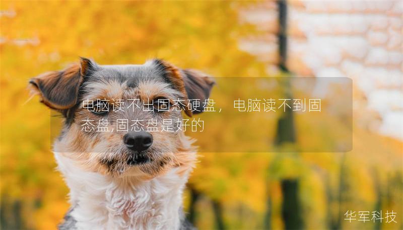 电脑读不出固态硬盘，电脑读不到固态盘,固态盘是好的