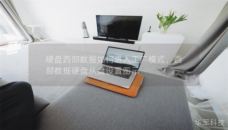硬盘西部数据如何进入工厂模式，西部数据硬盘从盘设置图示