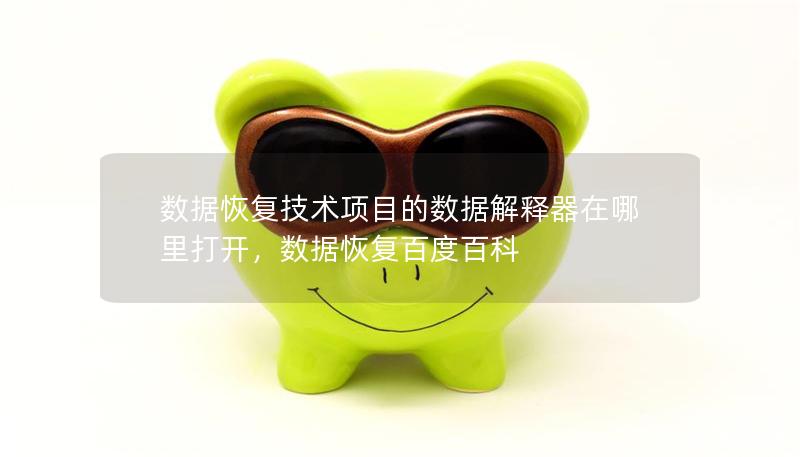 数据恢复技术项目的数据解释器在哪里打开，数据恢复百度百科