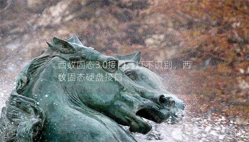 西数固态3.0接口亮灯不识别，西数固态硬盘接口
