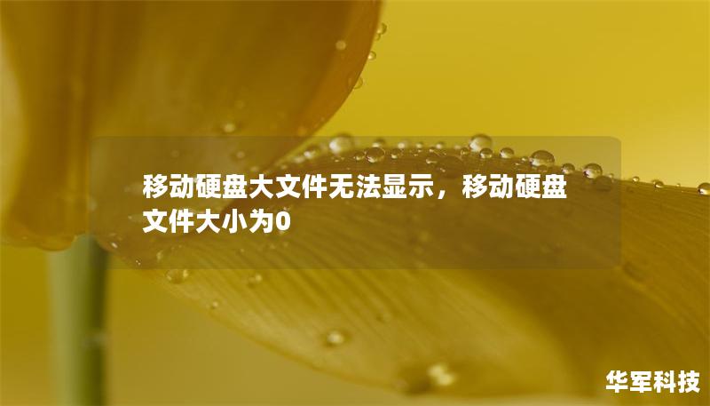 移动硬盘大文件无法显示，移动硬盘 文件大小为0