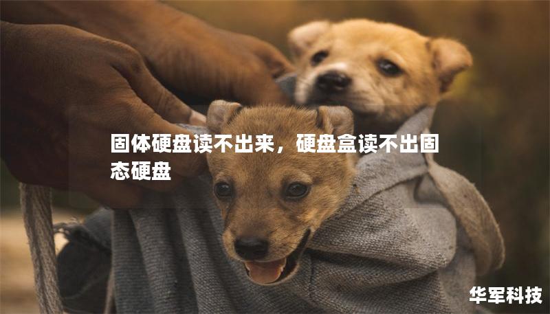 固体硬盘读不出来，硬盘盒读不出固态硬盘