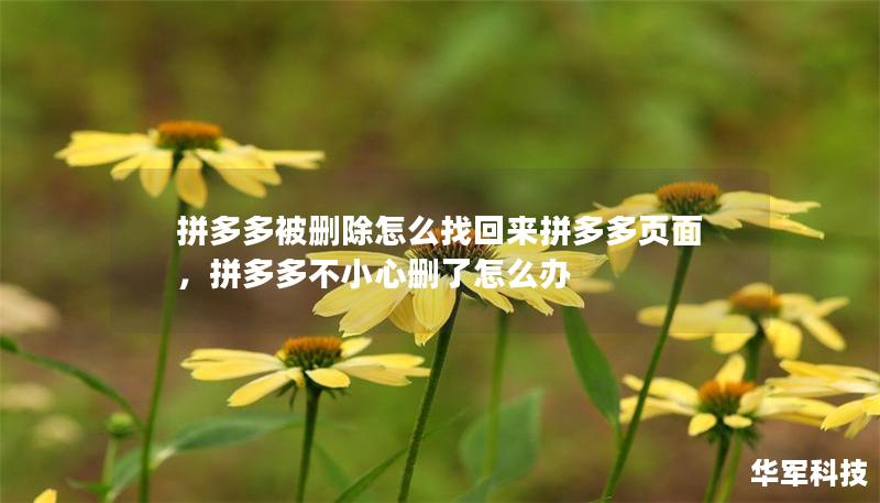 拼多多被删除怎么找回来拼多多页面，拼多多不小心删了怎么办