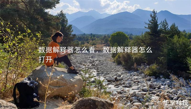 数据解释器怎么看，数据解释器怎么打开