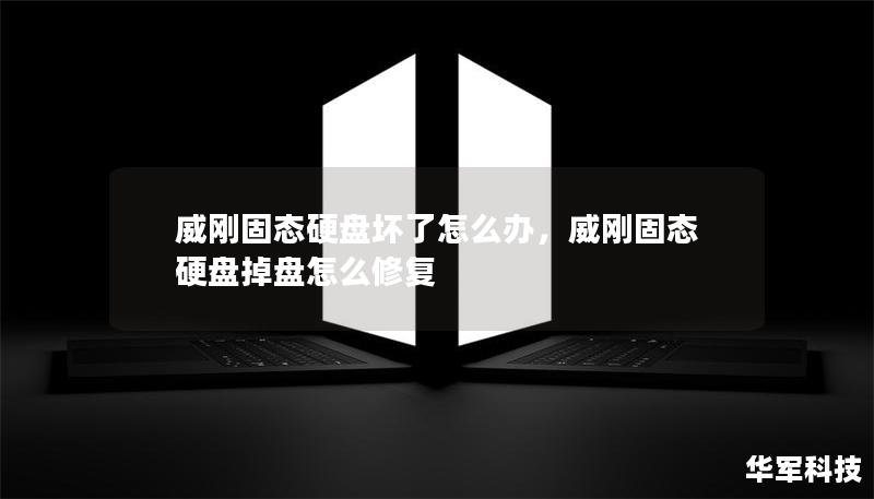 威刚固态硬盘坏了怎么办，威刚固态硬盘掉盘怎么修复
