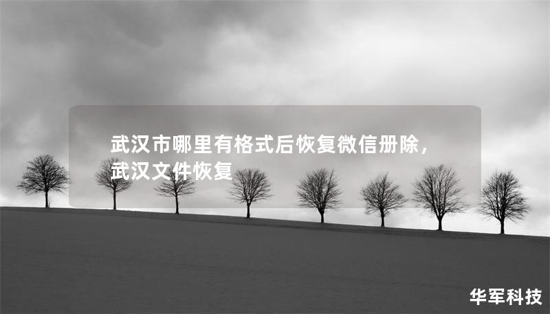 武汉市哪里有格式后恢复微信册除，武汉文件恢复