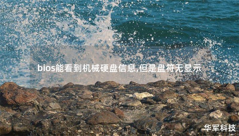 bios能看到机械硬盘信息,但是盘符无显示