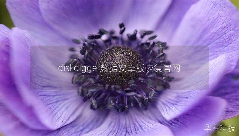 diskdigger数据安卓版恢复官网 diskdigger数据安卓版恢复官网