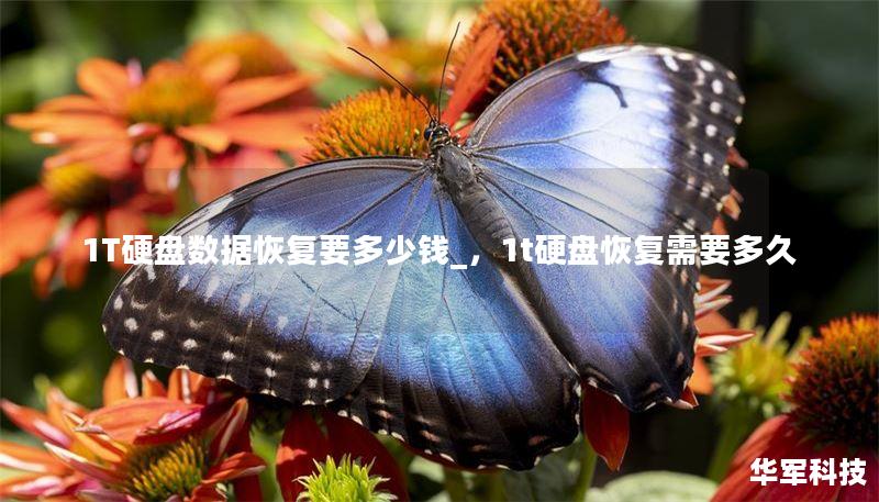 1T硬盘数据恢复要多少钱_，1t硬盘恢复需要多久