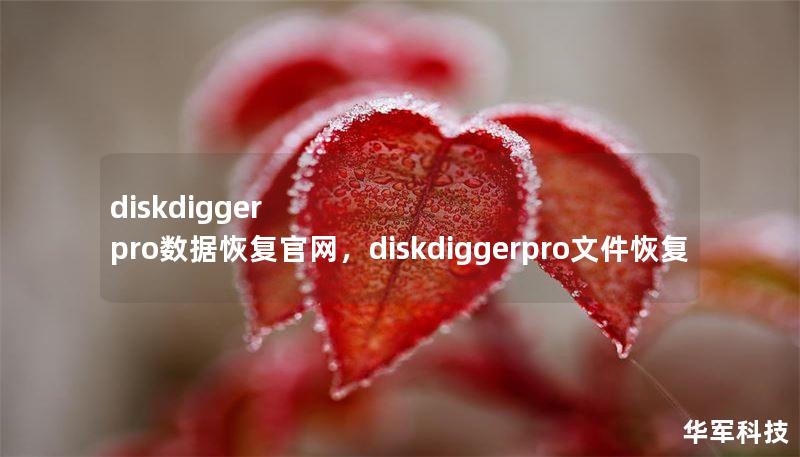 diskdigger pro数据恢复官网，diskdiggerpro文件恢复