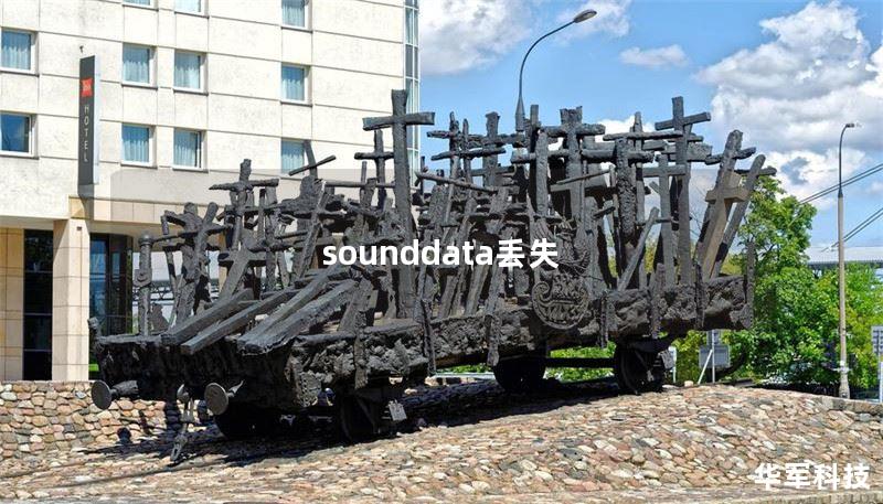 sounddata丢失
